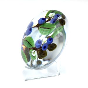 Blueberry Fields Forever PWT by Colin Richardson